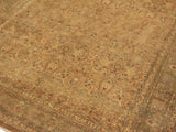 handmade Traditional  Lt. Brown Lt. Green Hand Knotted RECTANGLE 100% WOOL area rug 9x12